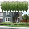 48Pcs Artificial Grass Plants Faux Shrubs Wheat Grass Fake Tall Grass Plants for Outdoor Decor Greenery Stems Weed for Room Indoor Home Decor（Green Red Tail